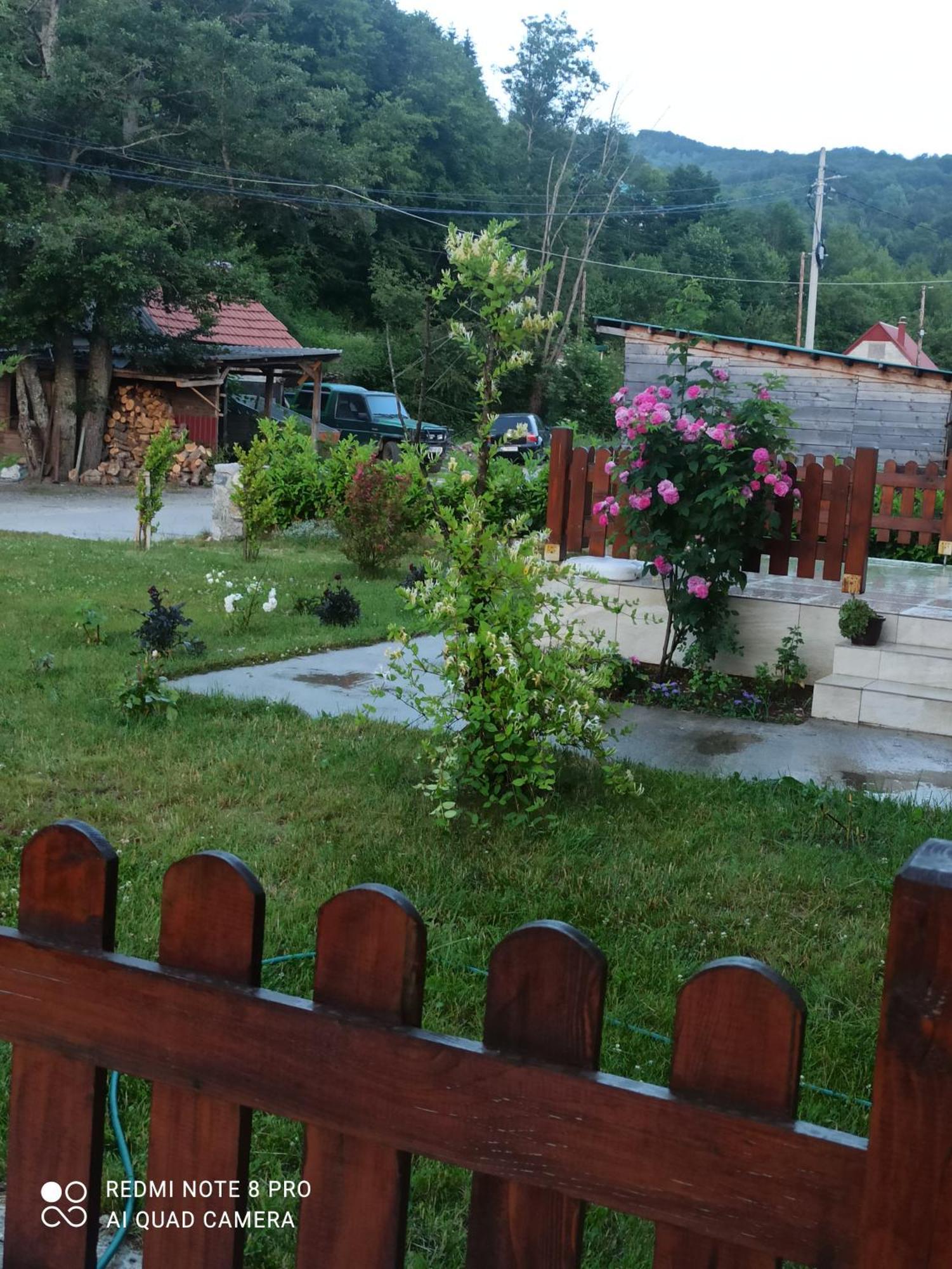 Holiday Home Ivana Kolašin Εξωτερικό φωτογραφία