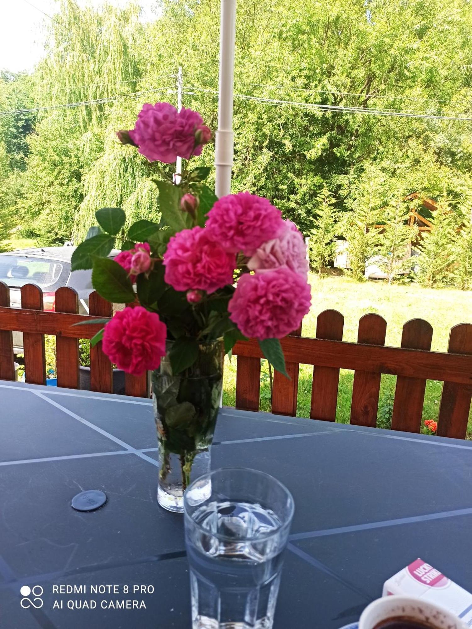 Holiday Home Ivana Kolašin Εξωτερικό φωτογραφία